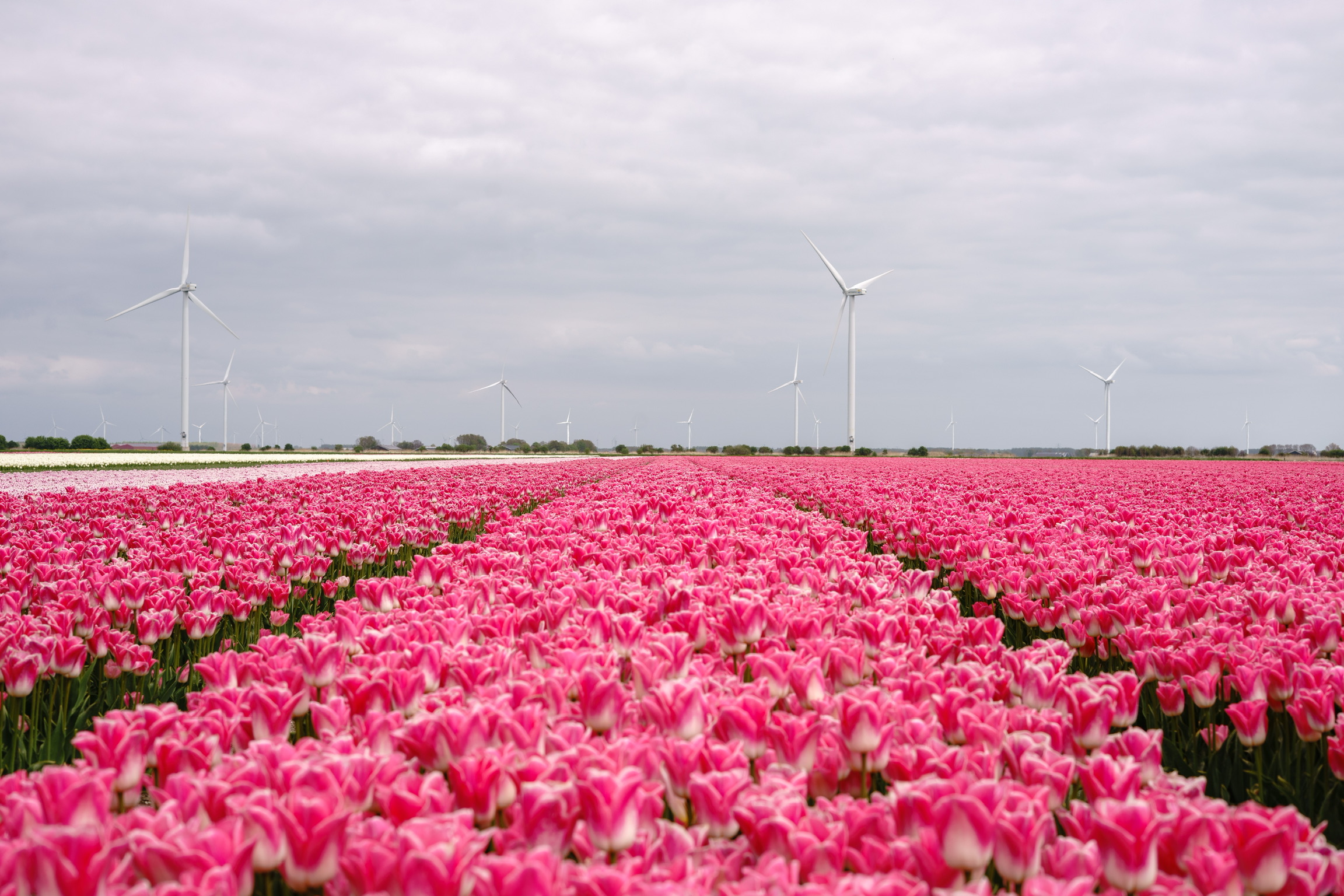 Natuur